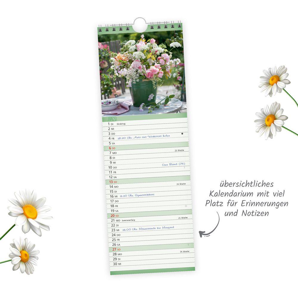 Beispielinhalt (Bild) TRÖTSCH - Streifenkalender Blumen 2027 Notizkalender