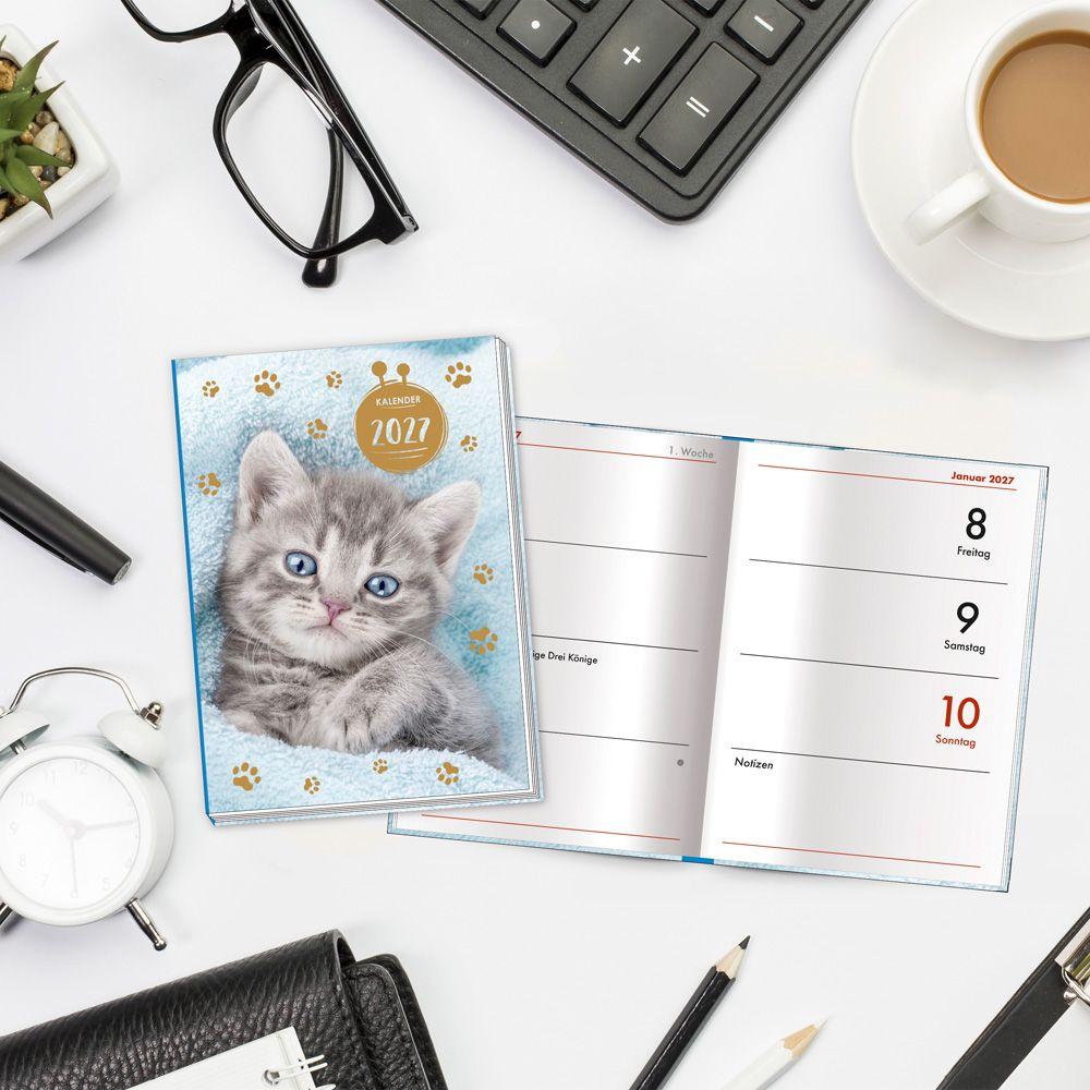Beispielinhalt (Bild) TRÖTSCH - Taschenkalender A7 Katze 2027