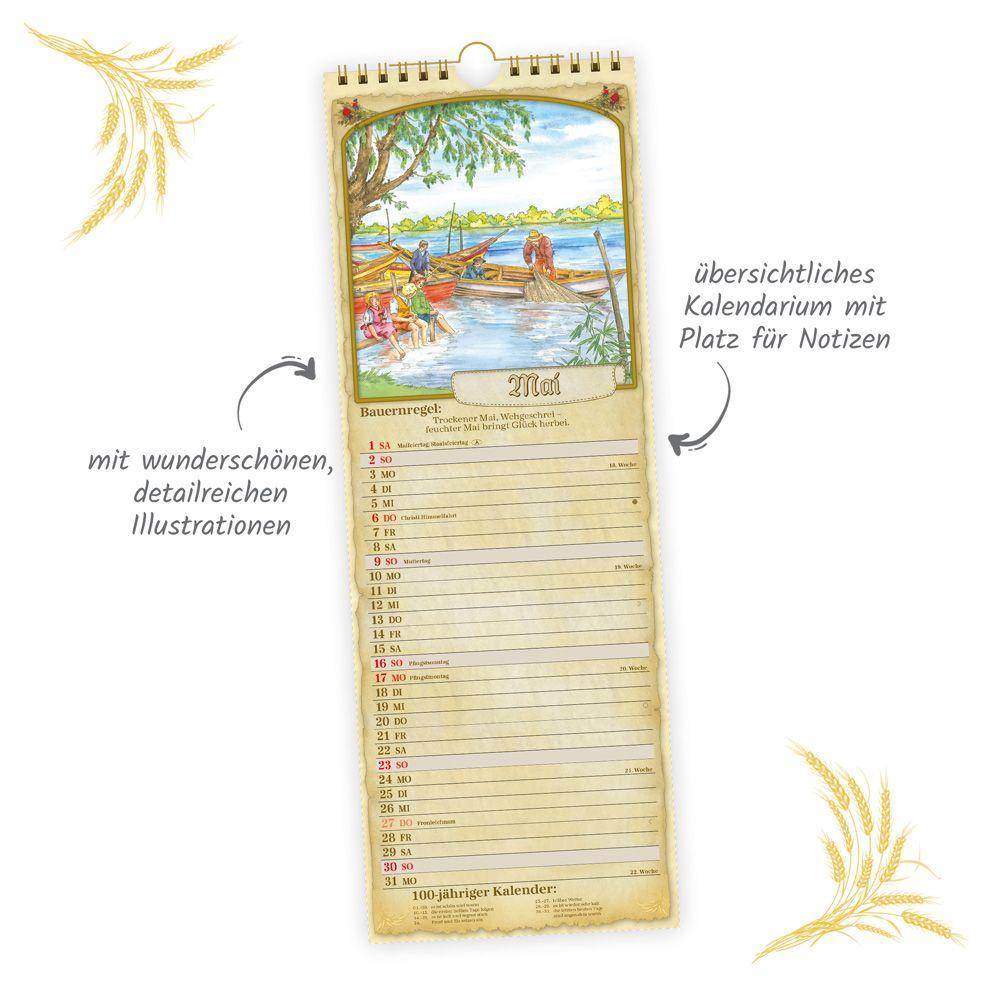 Beispielinhalt (Bild) TRÖTSCH - Maxi-Streifenkalender Bauernkalender 2027 mit Hundertjährigem Kalender, Bauernregeln und Ferienterminen