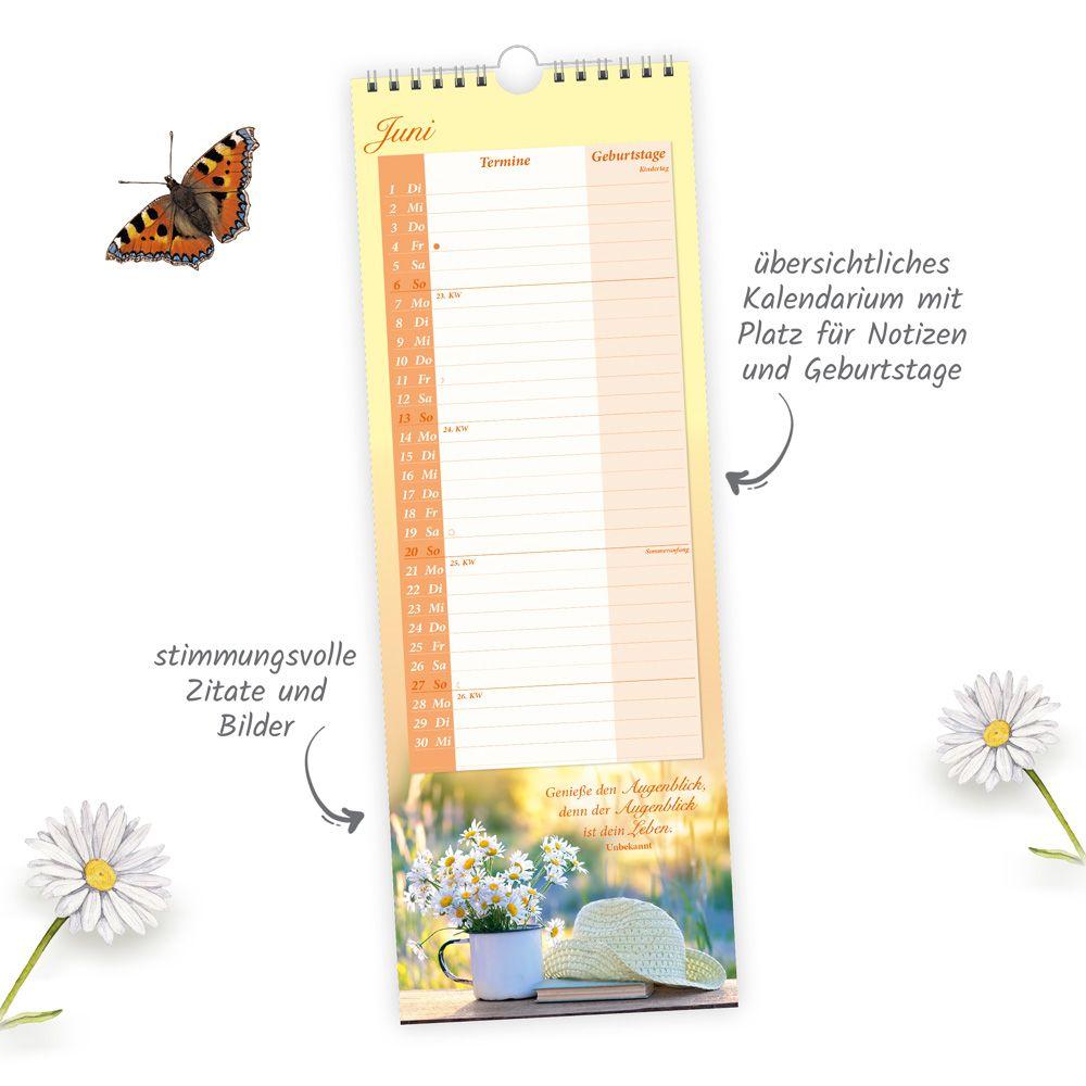 Beispielinhalt (Bild) TRÖTSCH - Maxi-Streifenkalender Omas Kalender 2027