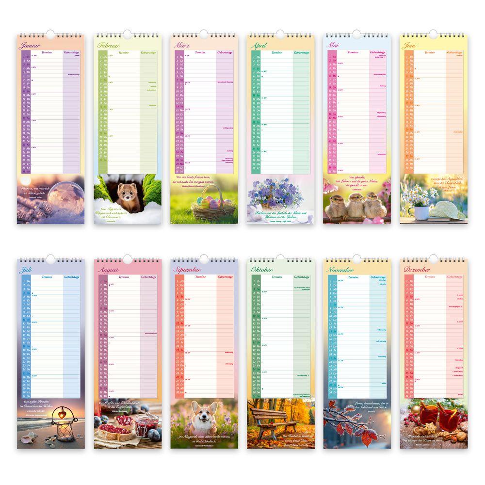 Beispielinhalt (Bild) TRÖTSCH - Maxi-Streifenkalender Omas Kalender 2027