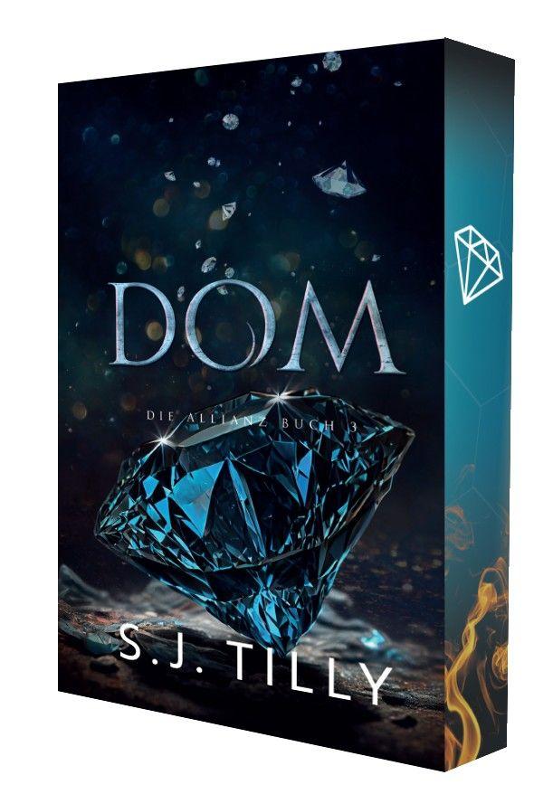 Vorderes Coverbild Dom