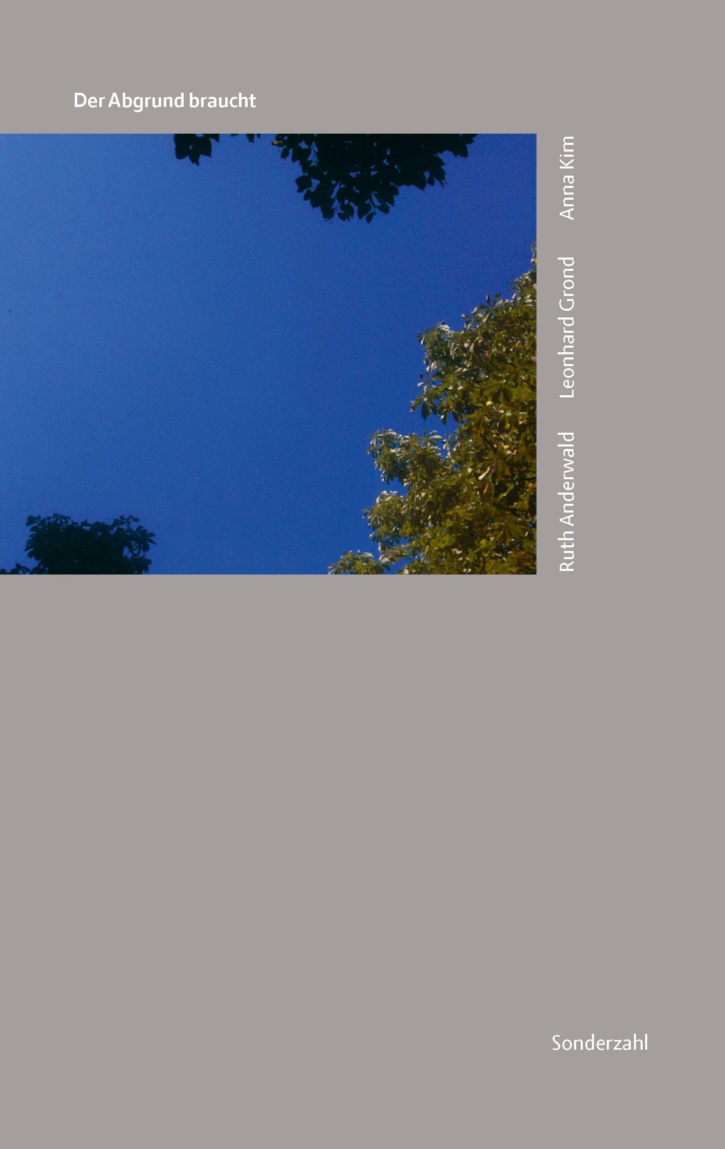 Vorderes Coverbild Der Abgrund braucht