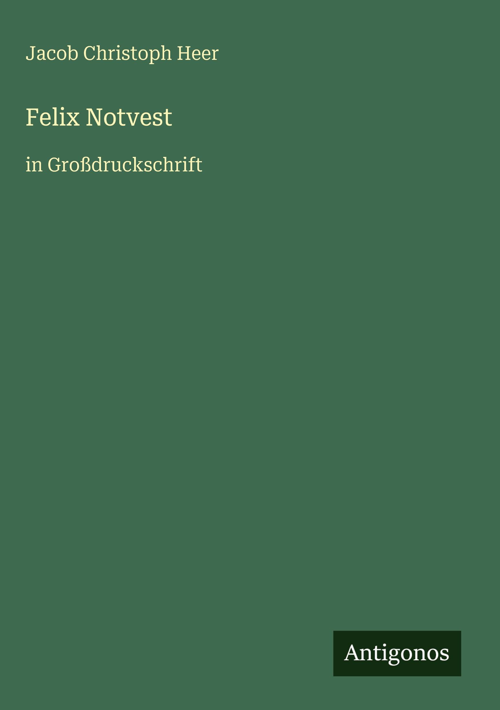 Vorderes Coverbild Felix Notvest