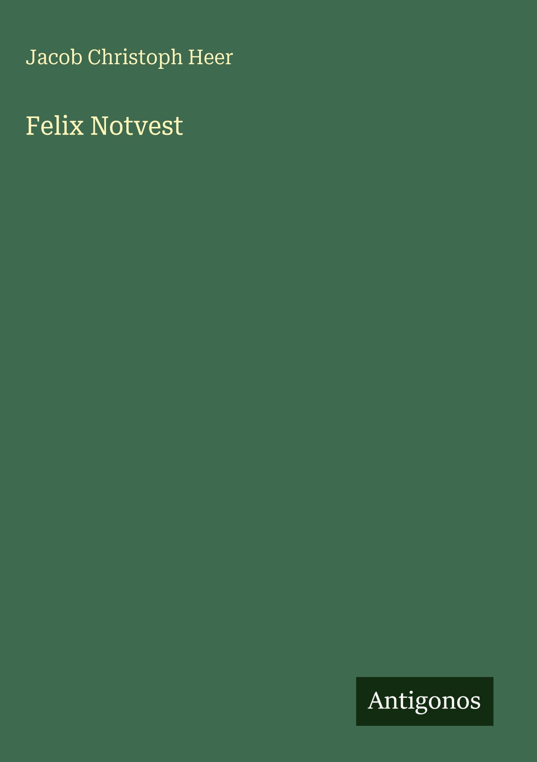 Vorderes Coverbild Felix Notvest