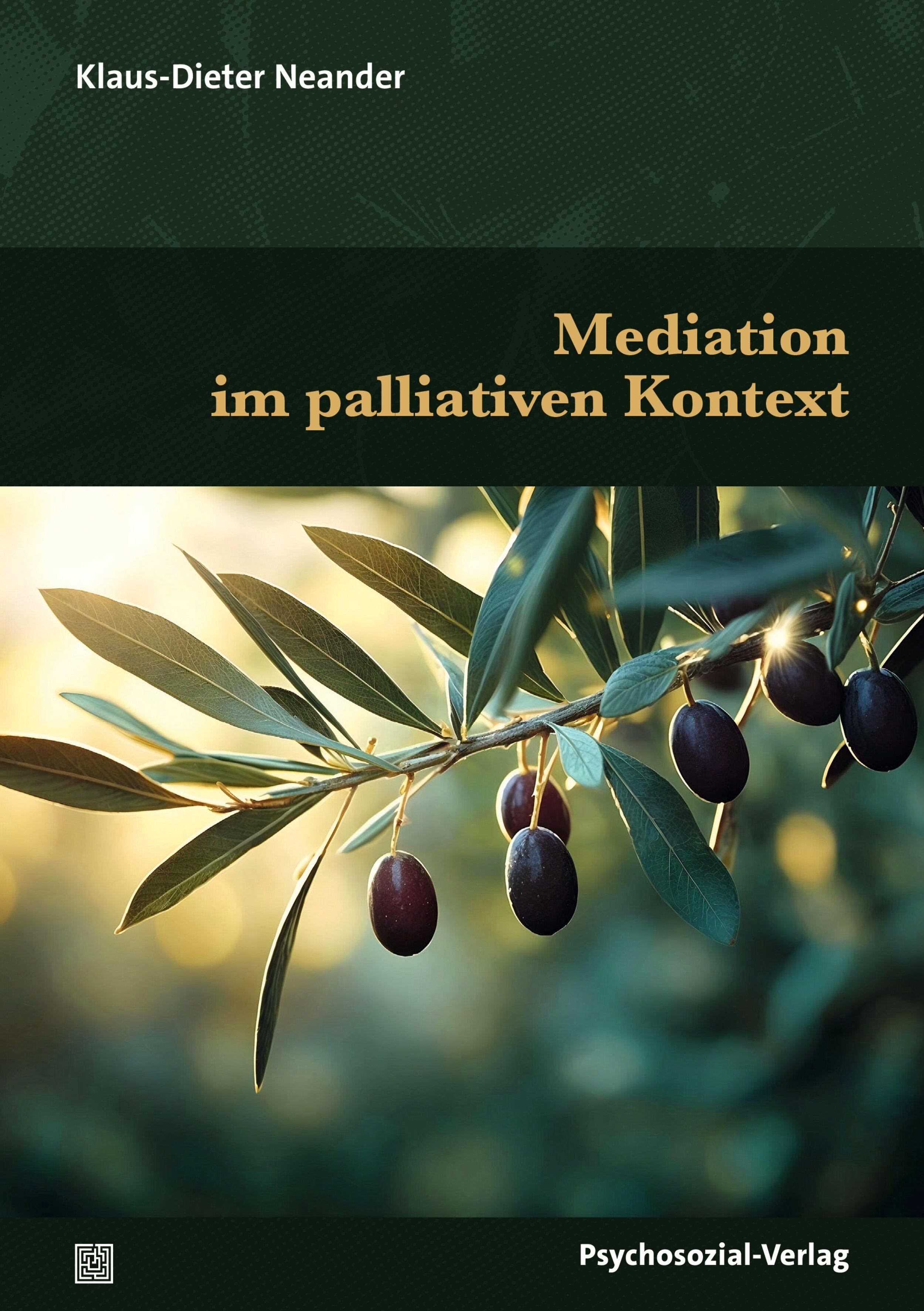 Vorderes Coverbild Mediation im palliativen Kontext