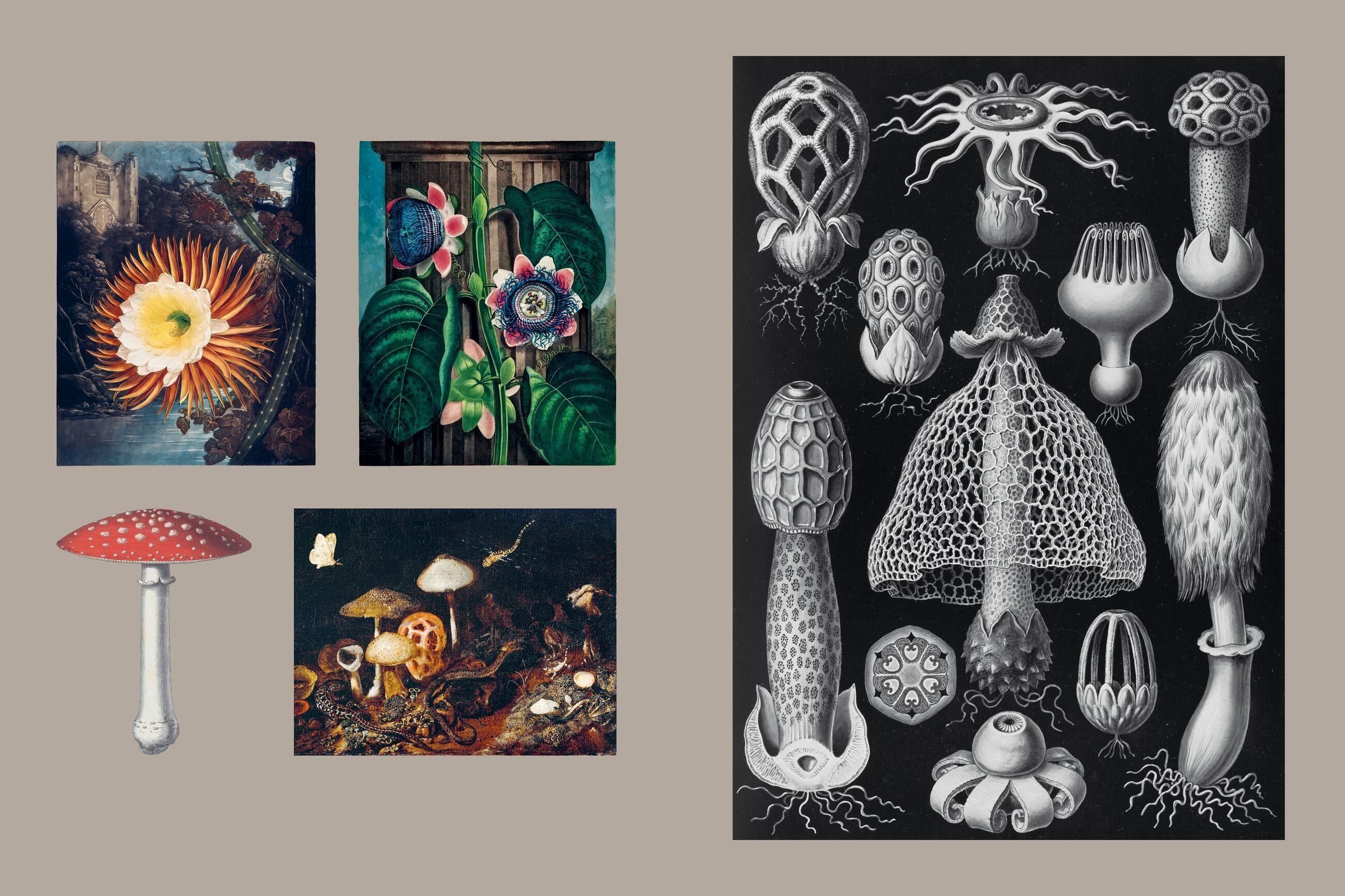 Beispielinhalt (Bild) Gothica Sticker Book