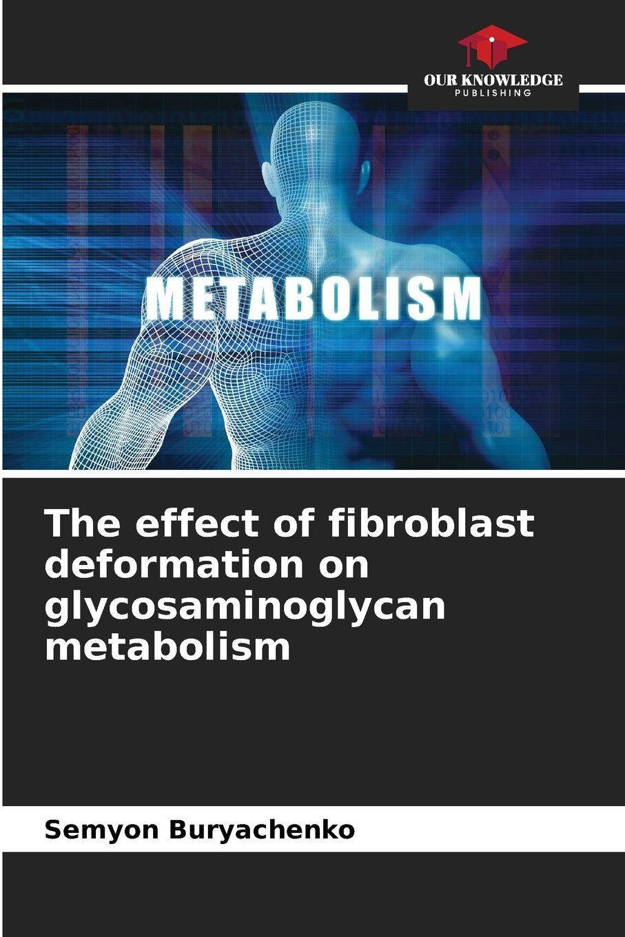 Vorderes Coverbild The effect of fibroblast deformation on glycosaminoglycan metabolism