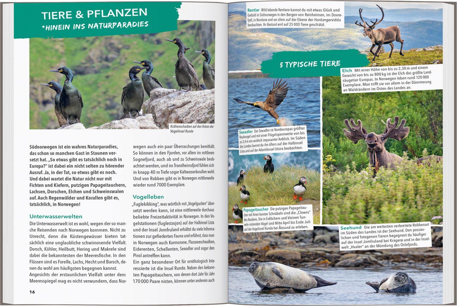 Beispielinhalt (Bild) MARCO POLO OUTDOOR GUIDE Reiseführer Südnorwegen