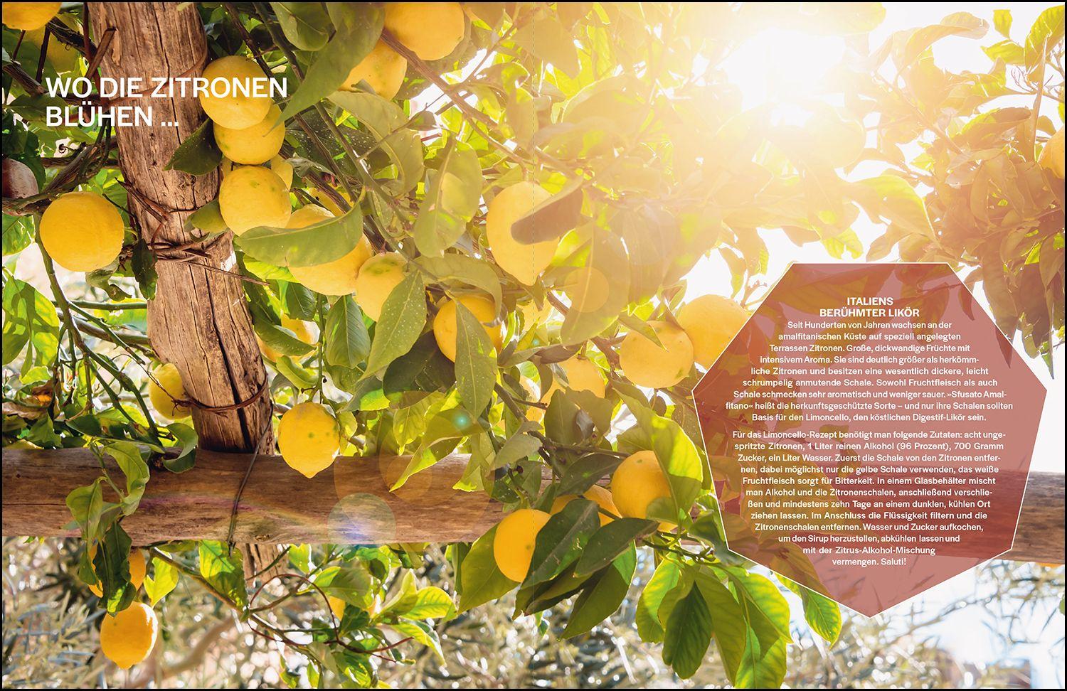 Beispielinhalt (Bild) KUNTH Have a Happy Weekend