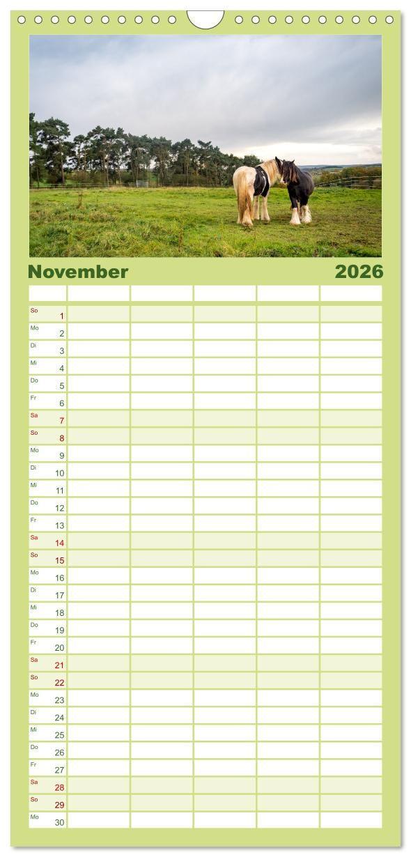 Beispielinhalt (Bild) Familienplaner 2026 - Nationalpark Eifel - Schöne Tage im Grünen mit 5 Spalten (Wandkalender, 21 x 45 cm) CALVENDO