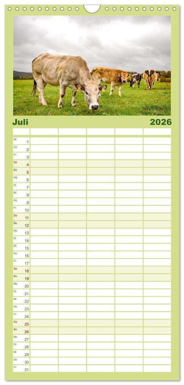 Beispielinhalt (Bild) Familienplaner 2026 - Nationalpark Eifel - Schöne Tage im Grünen mit 5 Spalten (Wandkalender, 21 x 45 cm) CALVENDO