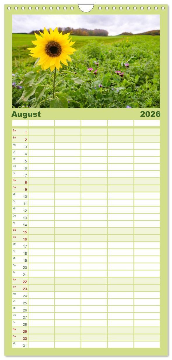 Beispielinhalt (Bild) Familienplaner 2026 - Nationalpark Eifel - Schöne Tage im Grünen mit 5 Spalten (Wandkalender, 21 x 45 cm) CALVENDO