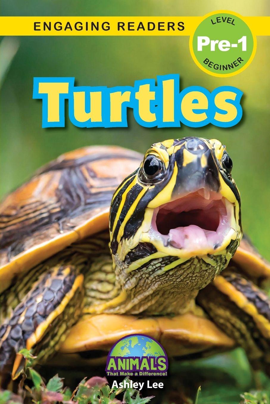 Vorderes Coverbild Turtles