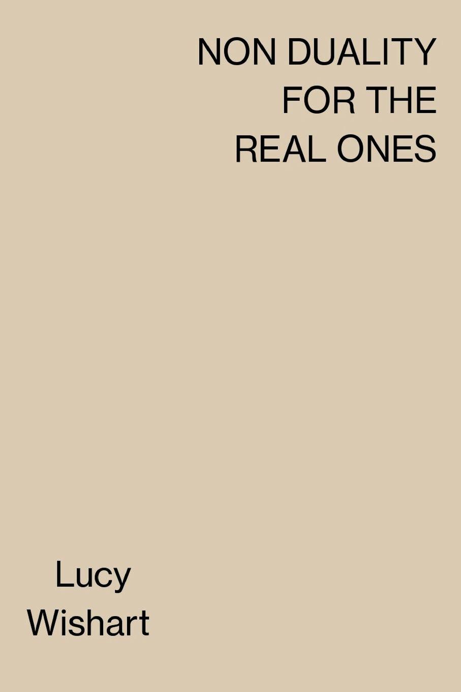 Vorderes Coverbild NON DUALITY FOR THE REAL ONES