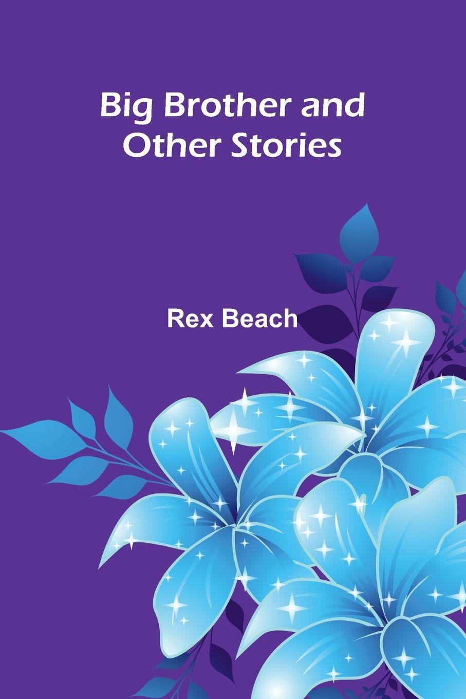 Vorderes Coverbild Big Brother And Other Stories