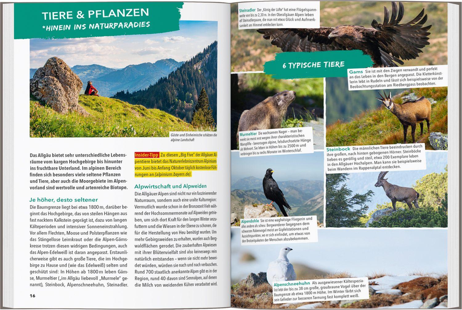 Beispielinhalt (Bild) MARCO POLO OUTDOOR GUIDE Reiseführer Allgäu