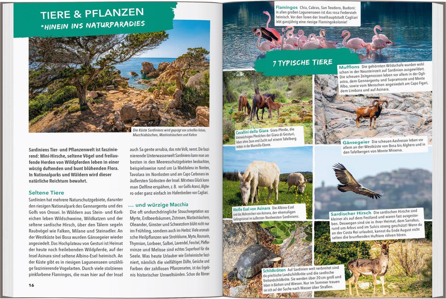 Beispielinhalt (Bild) MARCO POLO OUTDOOR GUIDE Reiseführer Sardinien