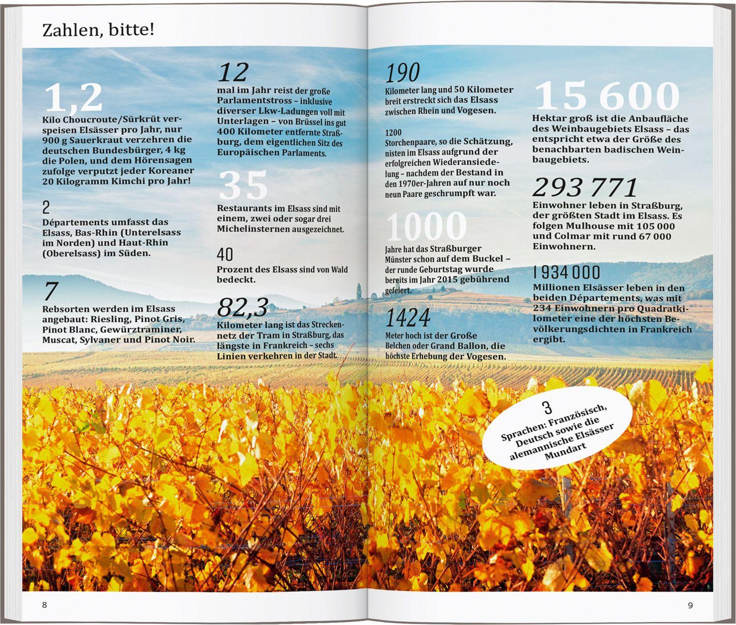 Beispielinhalt (Bild) DUMONT direkt Reiseführer Elsass