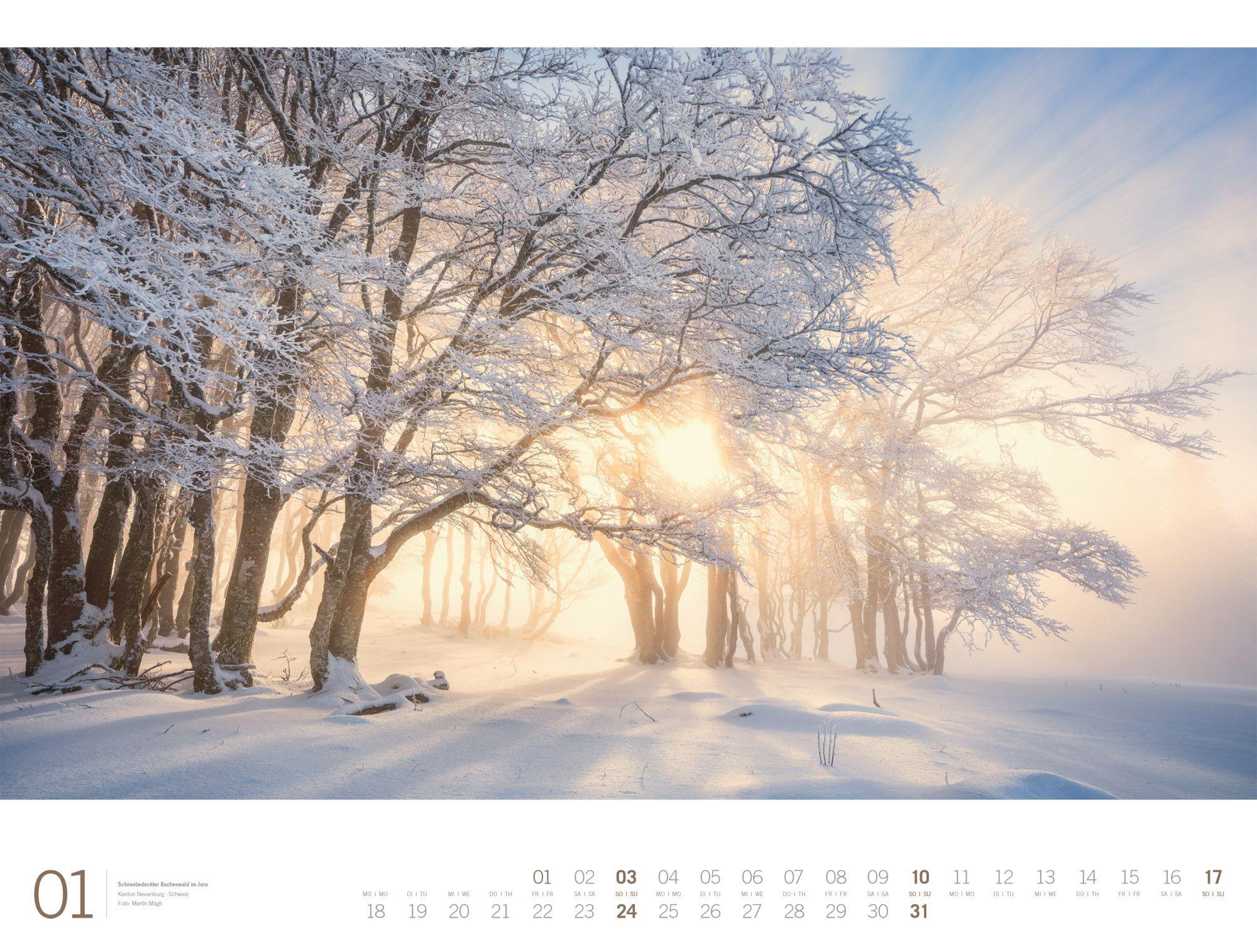 Beispielinhalt (Bild) Wald Gallery Kalender 2027