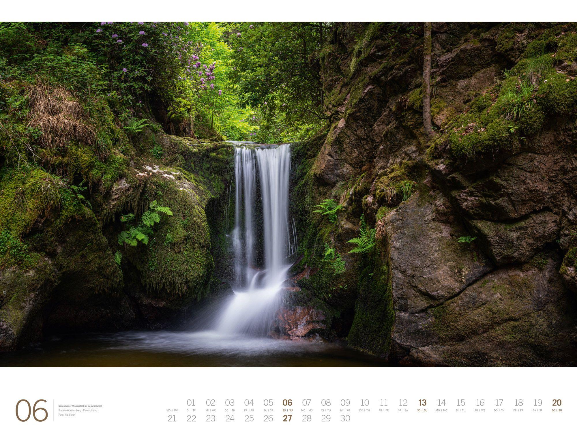 Beispielinhalt (Bild) Wald Gallery Kalender 2027