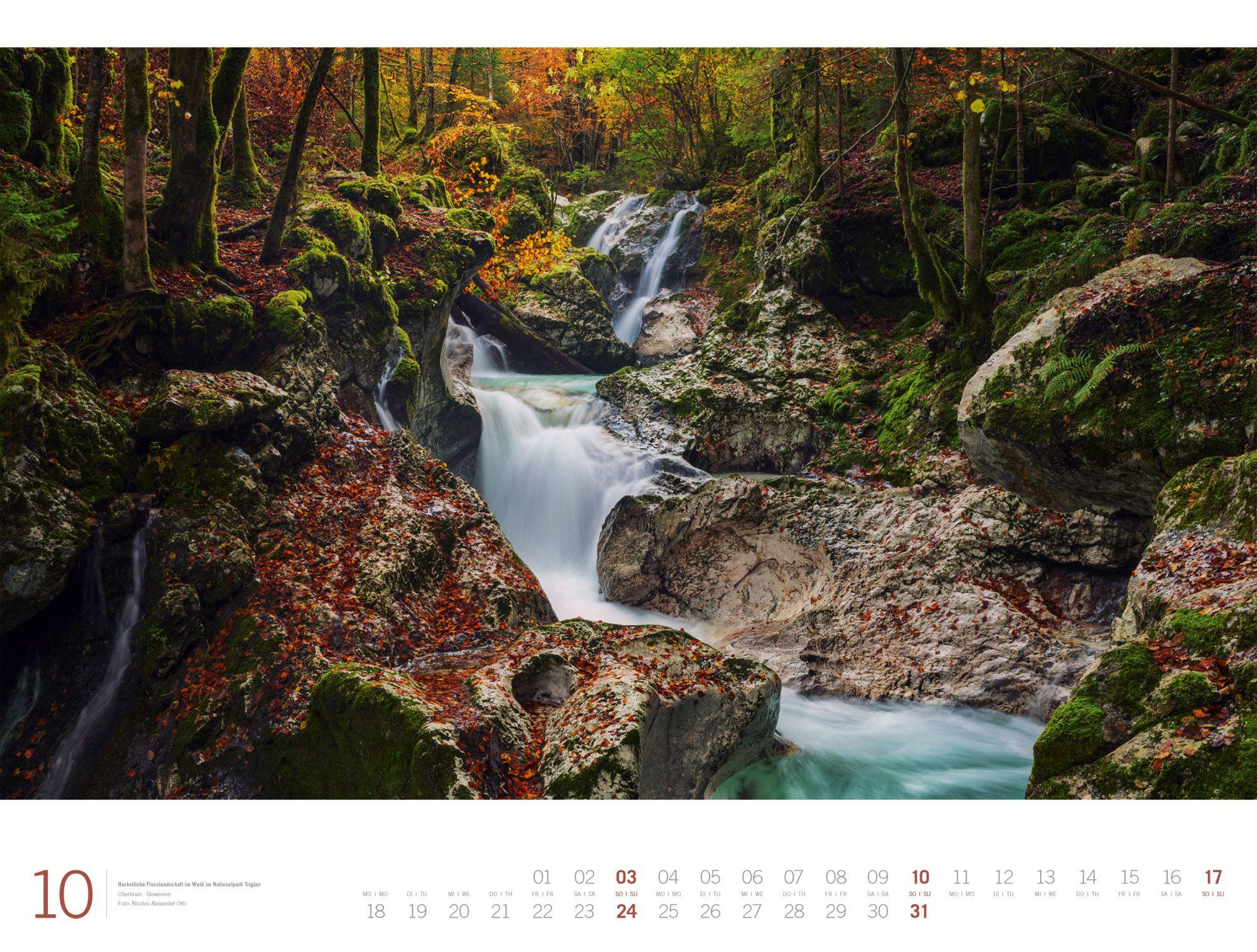 Beispielinhalt (Bild) Wald Gallery Kalender 2027