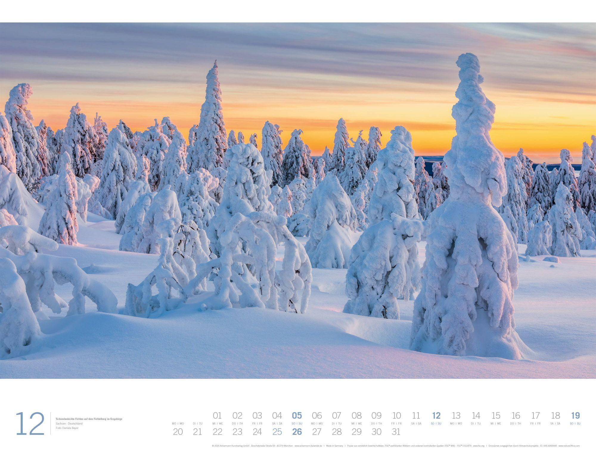 Beispielinhalt (Bild) Wald Gallery Kalender 2027