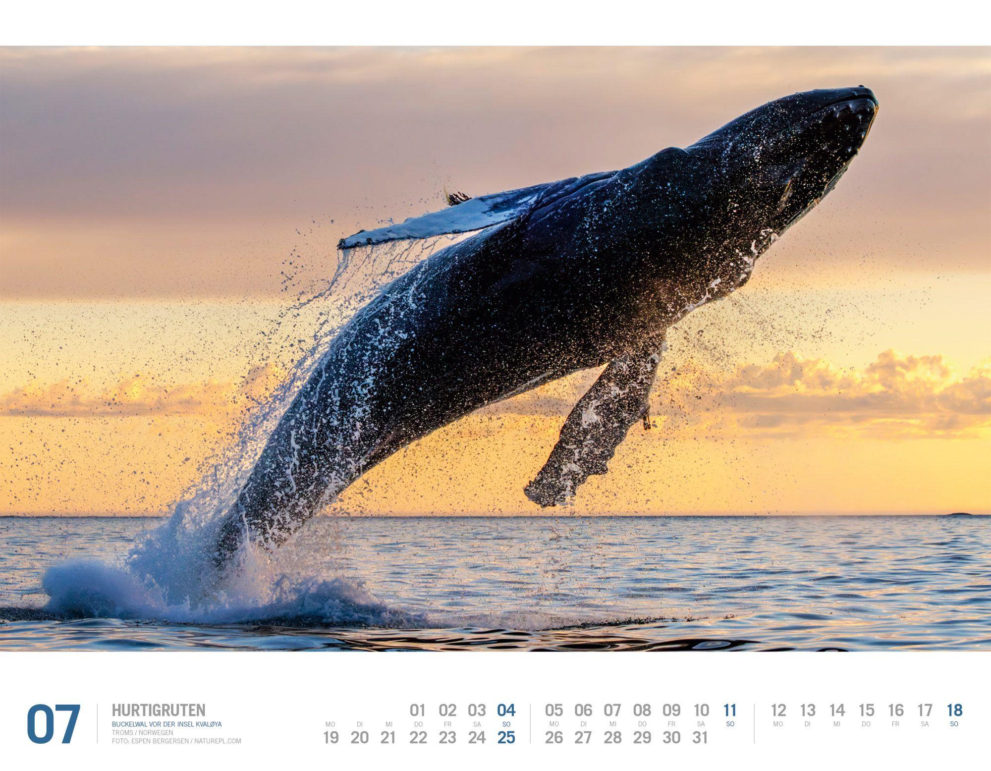 Beispielinhalt (Bild) Hurtigruten Kalender 2027 | Unterwegs zwischen Bergen und Kirkenes