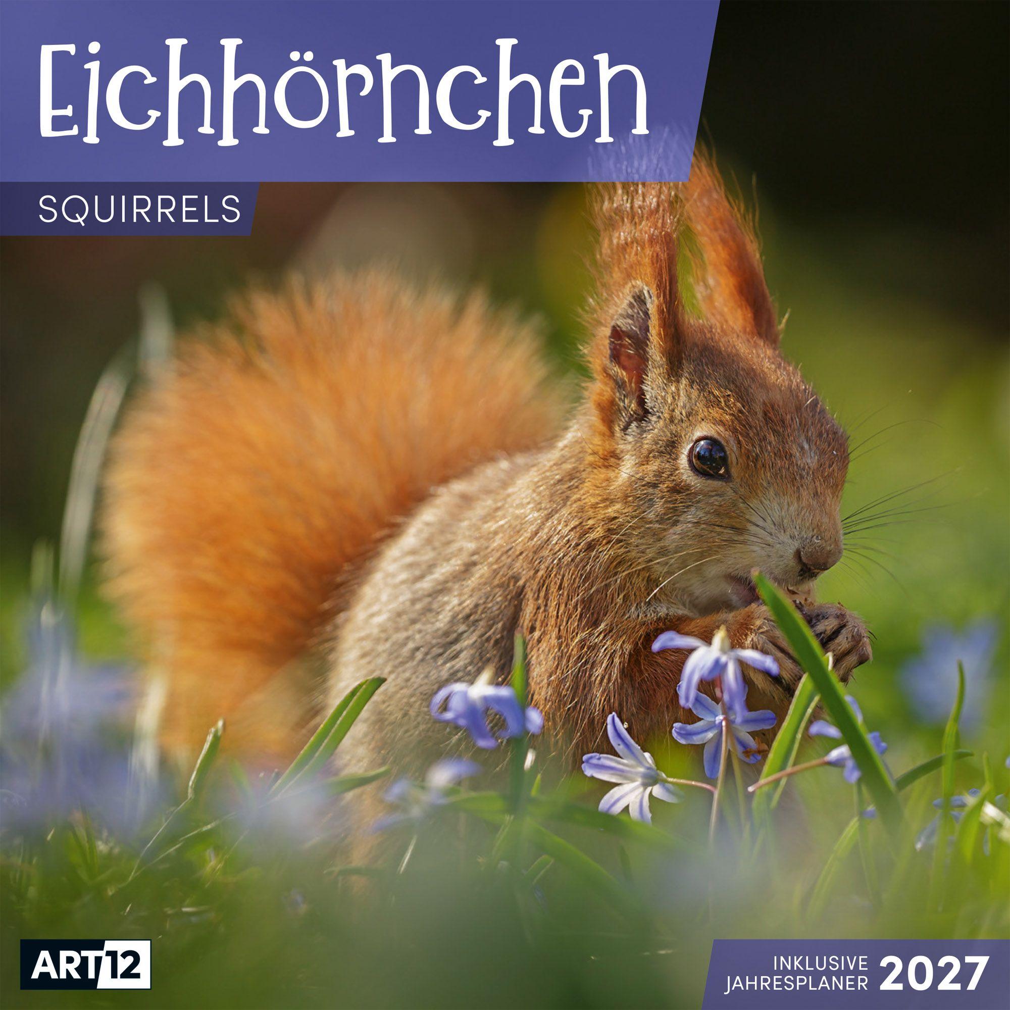 Vorderes Coverbild Eichhörnchen Kalender 2027 - 30x30 - Art12