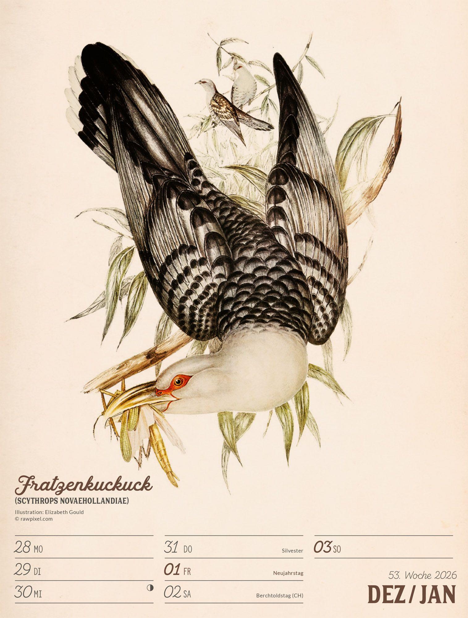 Beispielinhalt (Bild) Wunderbare Vogelwelt Wochenplaner Kalender 2027