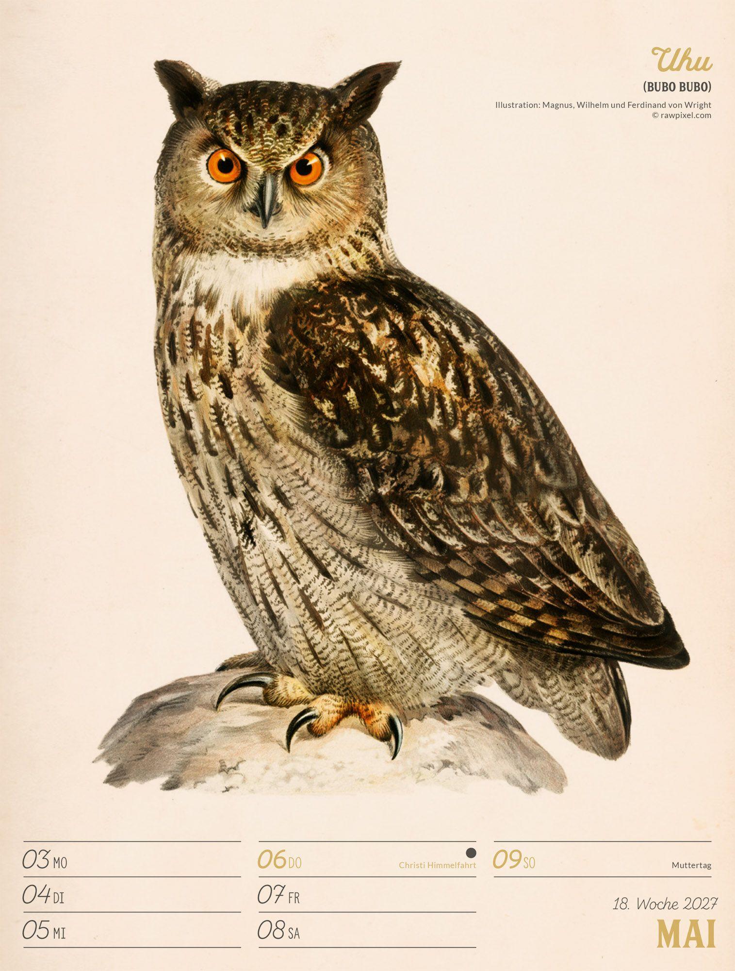 Beispielinhalt (Bild) Wunderbare Vogelwelt Wochenplaner Kalender 2027