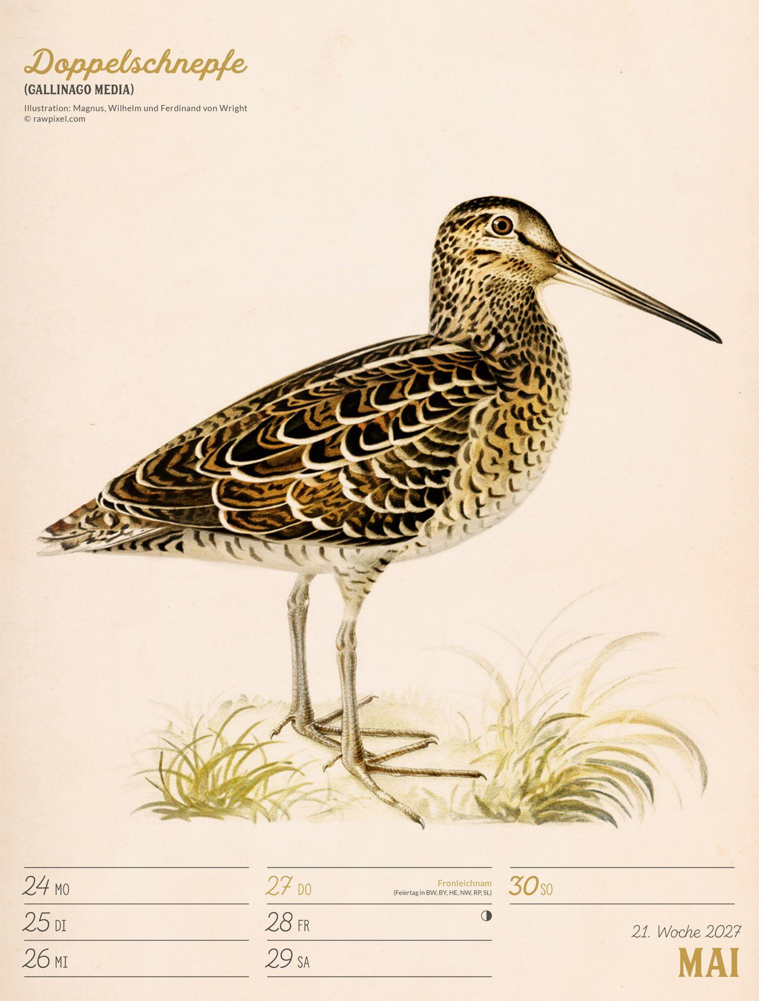 Beispielinhalt (Bild) Wunderbare Vogelwelt Wochenplaner Kalender 2027