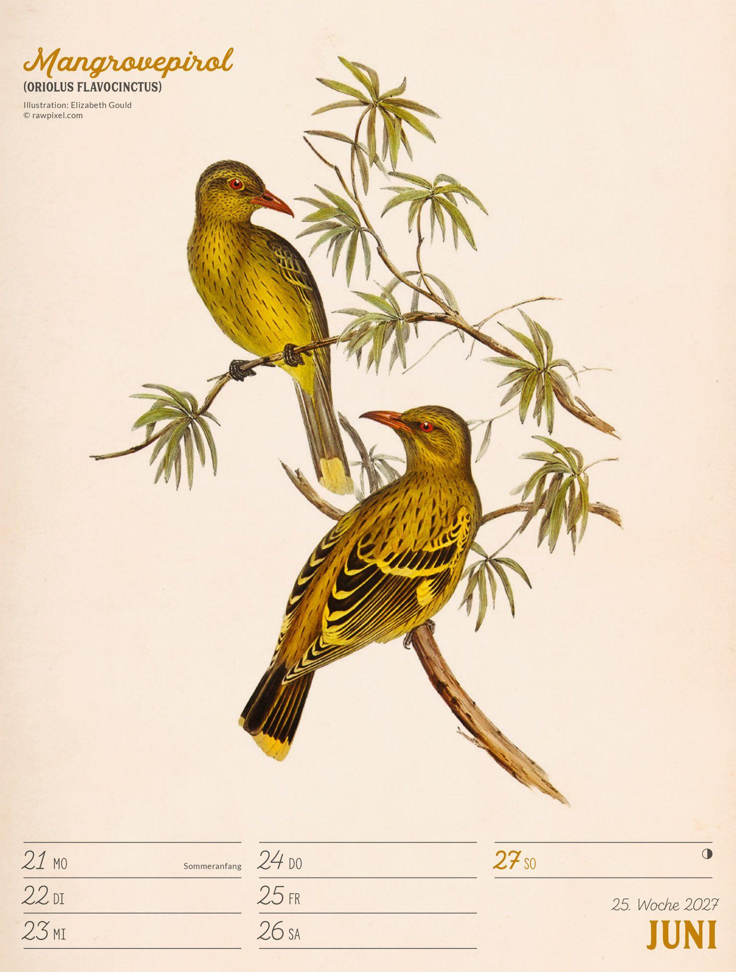 Beispielinhalt (Bild) Wunderbare Vogelwelt Wochenplaner Kalender 2027