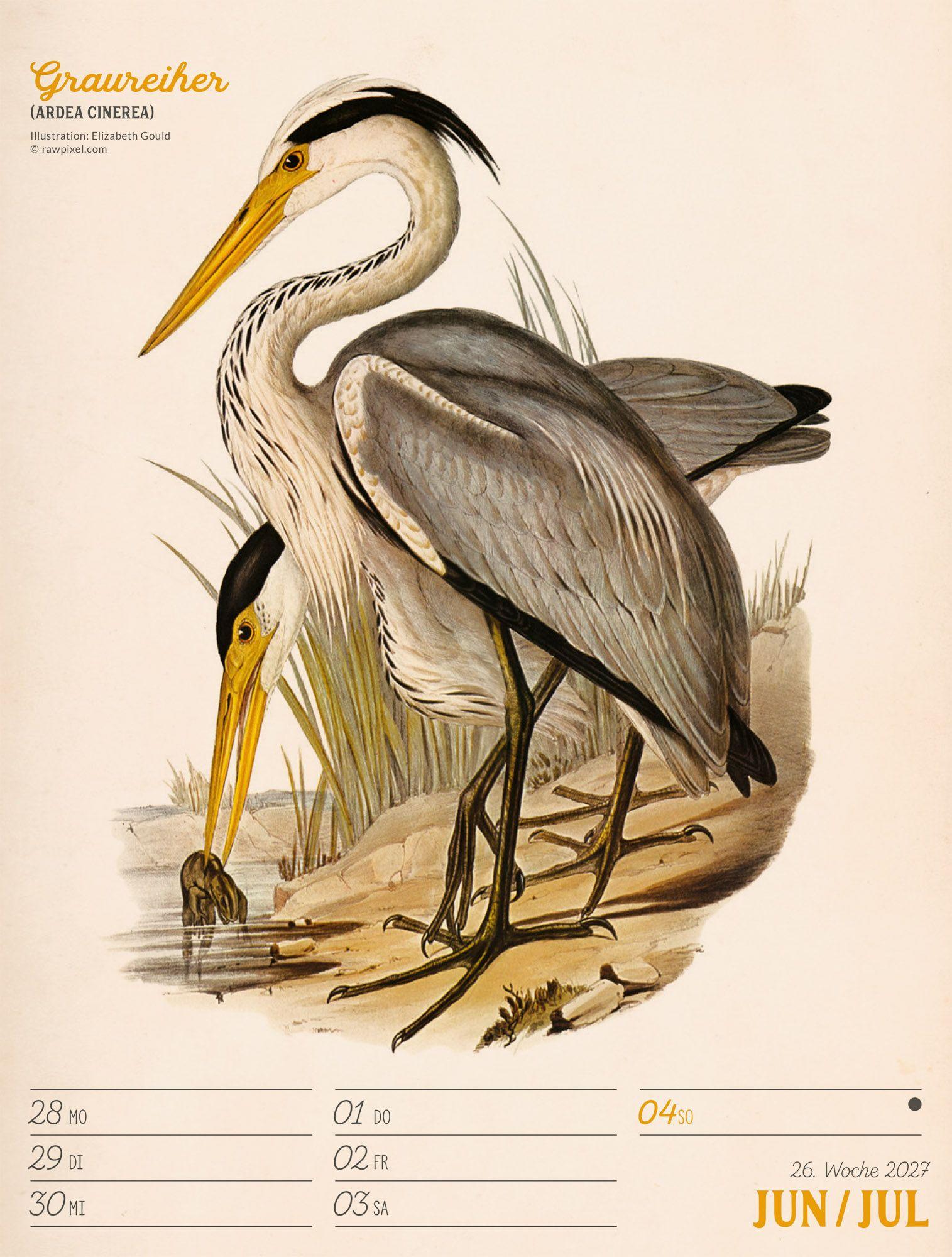 Beispielinhalt (Bild) Wunderbare Vogelwelt Wochenplaner Kalender 2027