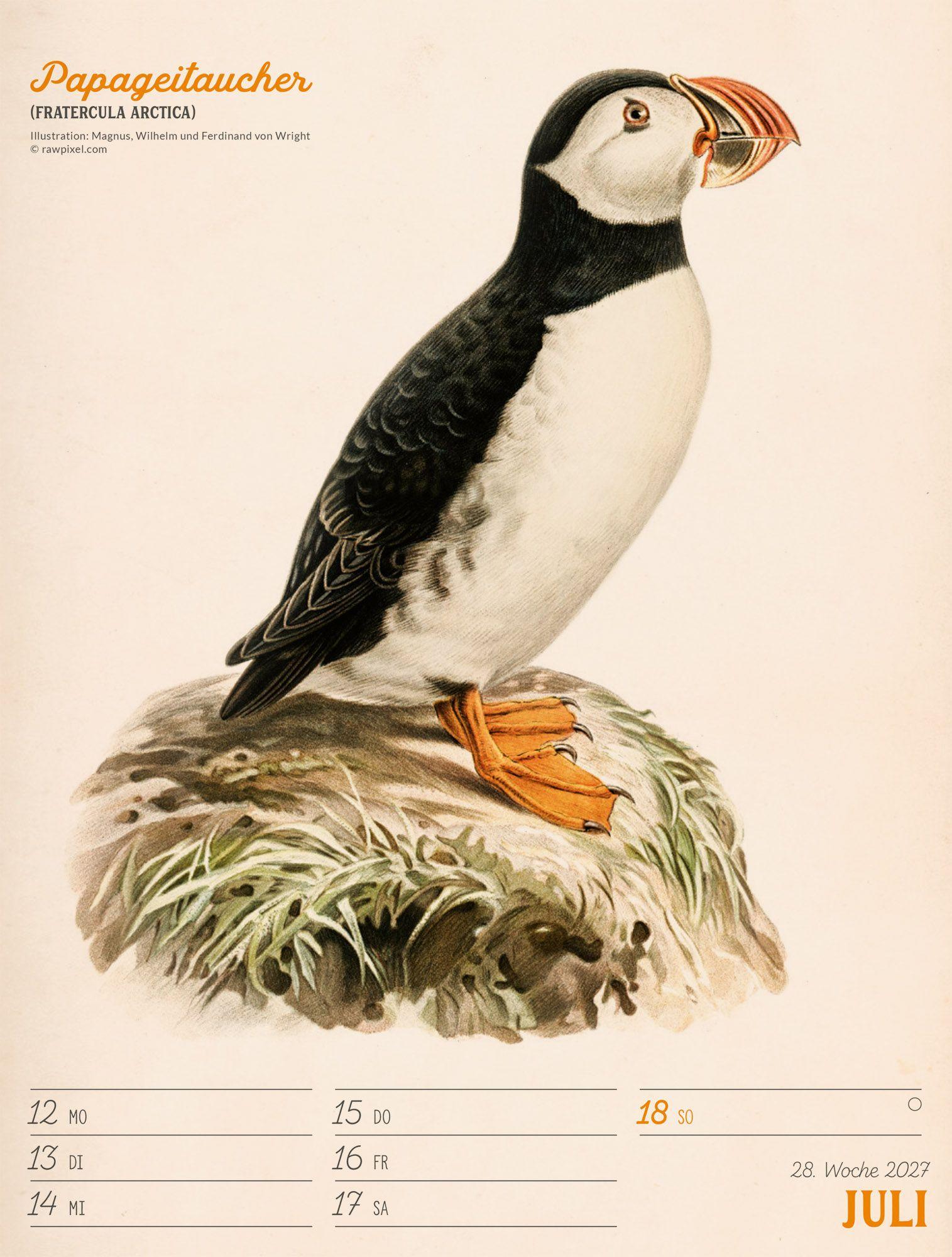 Beispielinhalt (Bild) Wunderbare Vogelwelt Wochenplaner Kalender 2027