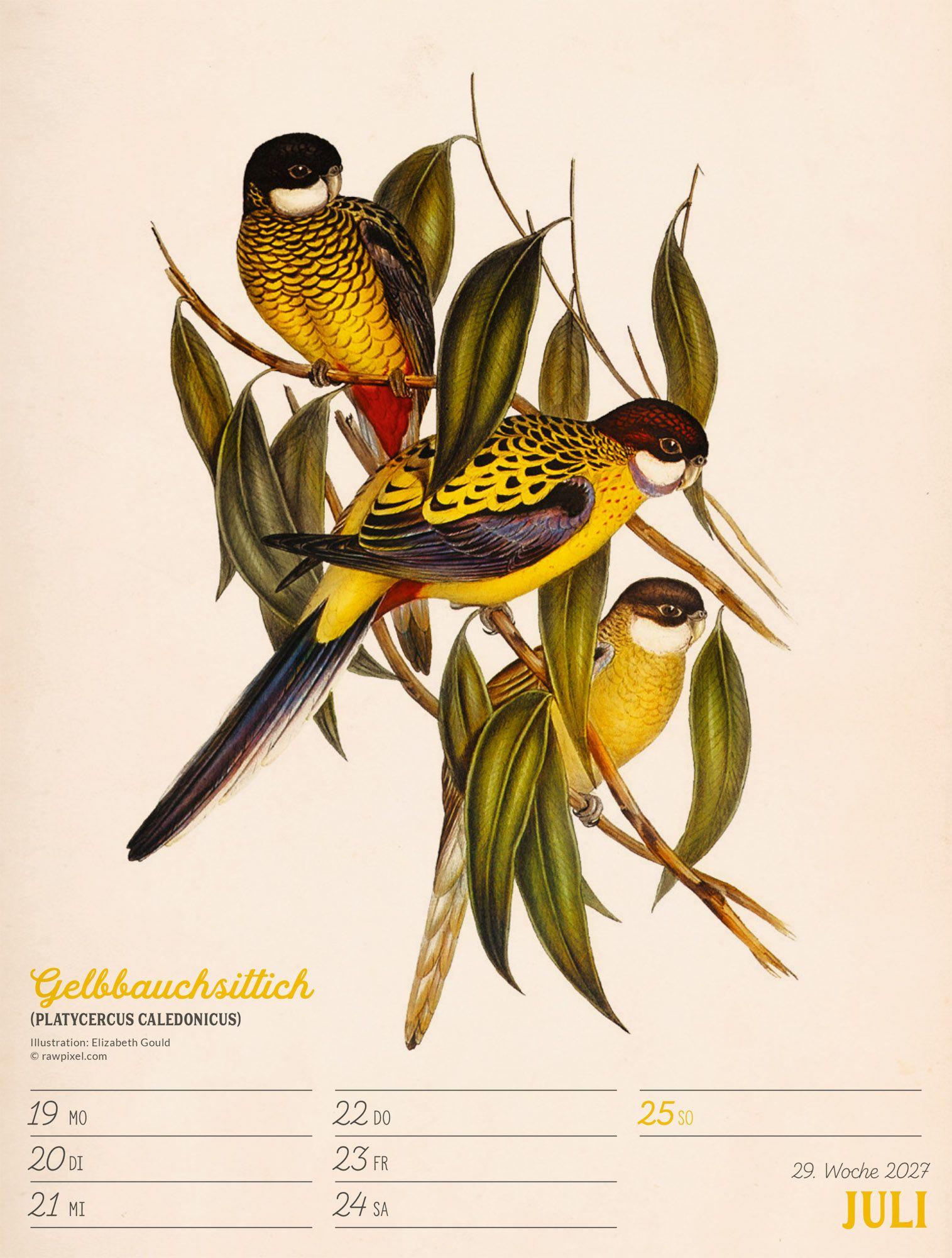 Beispielinhalt (Bild) Wunderbare Vogelwelt Wochenplaner Kalender 2027