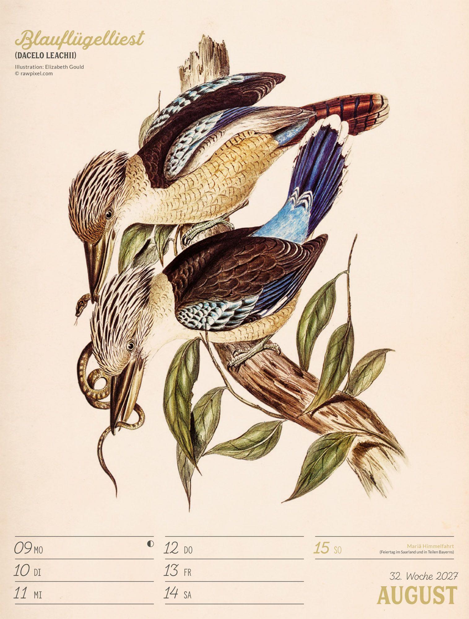 Beispielinhalt (Bild) Wunderbare Vogelwelt Wochenplaner Kalender 2027