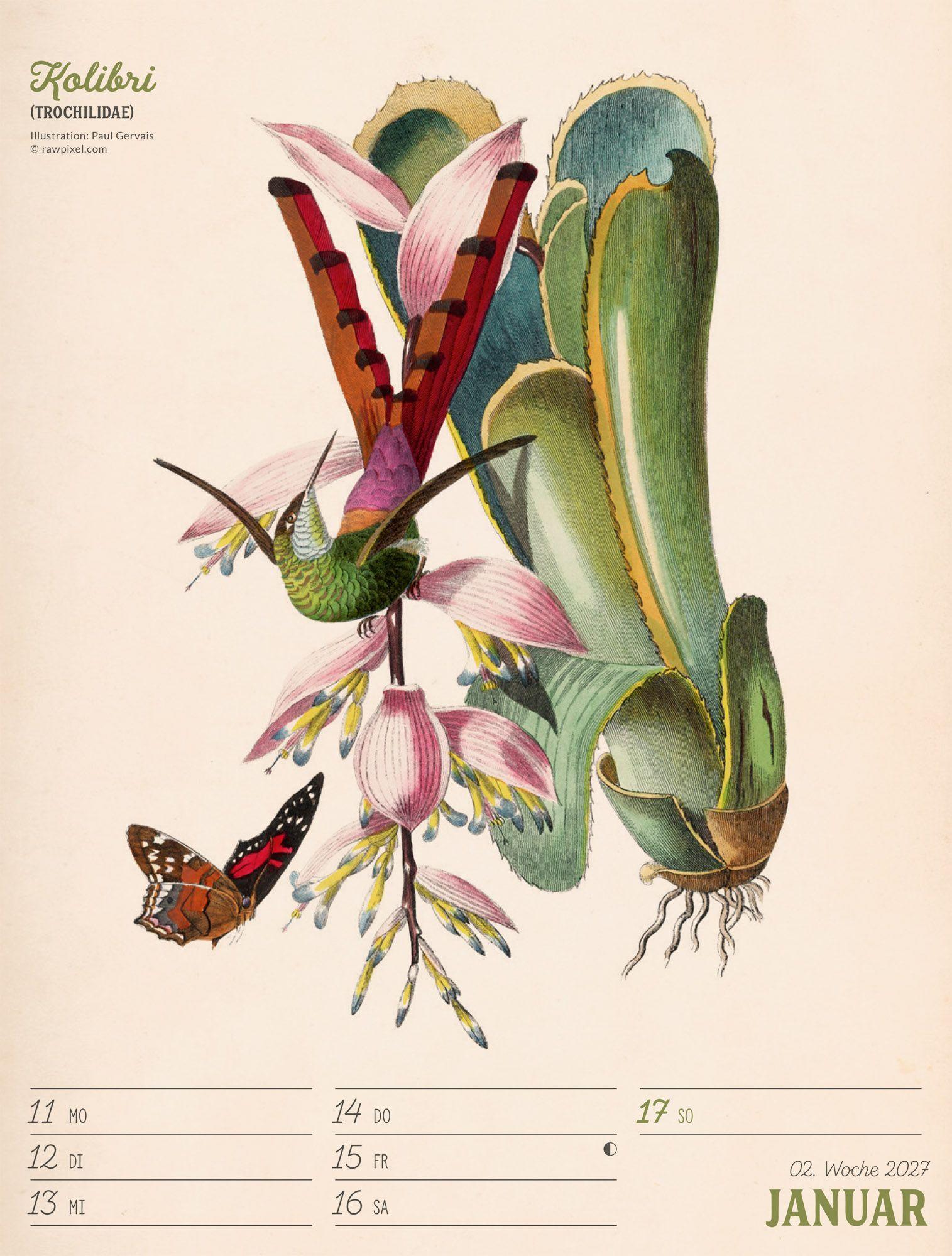 Beispielinhalt (Bild) Wunderbare Vogelwelt Wochenplaner Kalender 2027