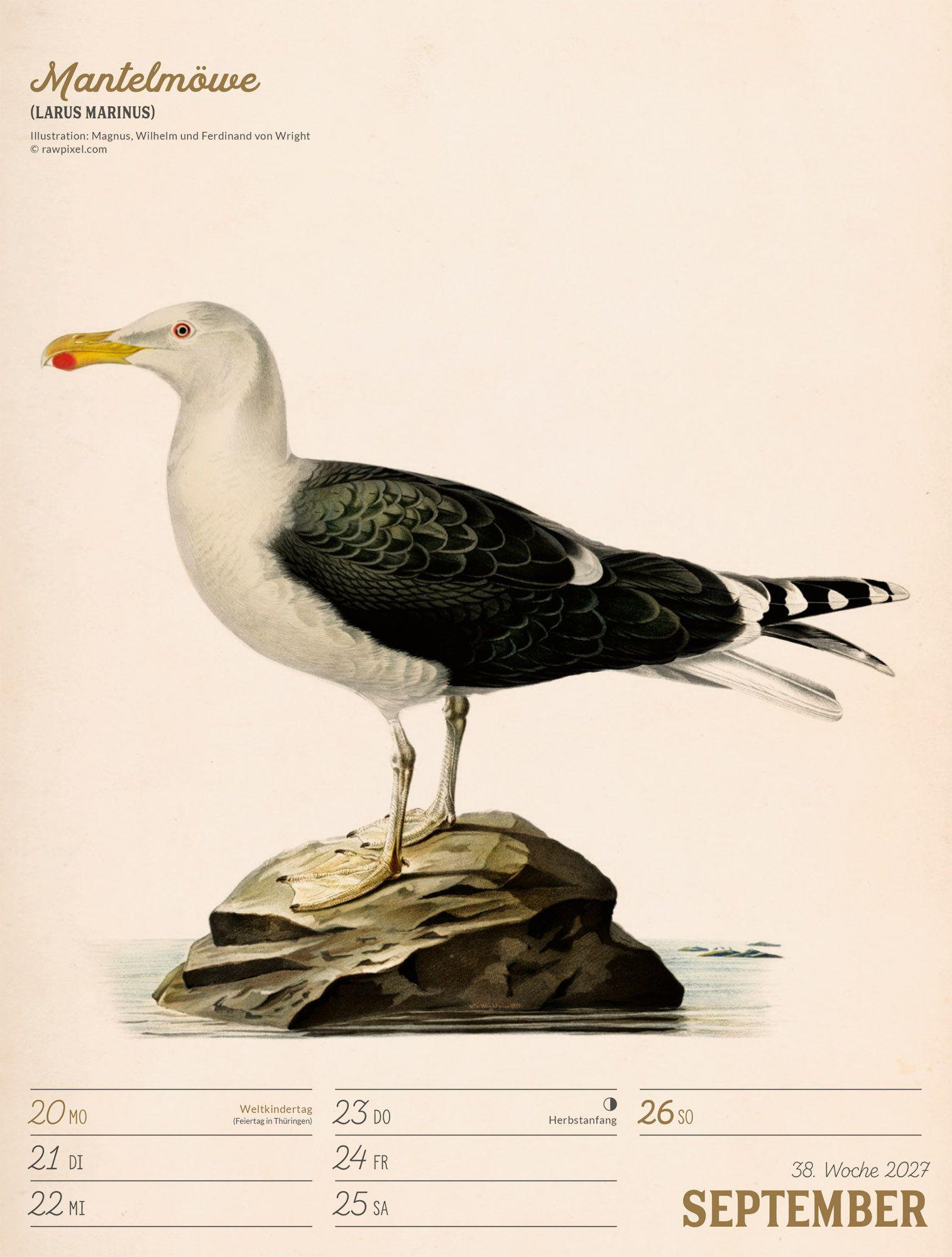 Beispielinhalt (Bild) Wunderbare Vogelwelt Wochenplaner Kalender 2027