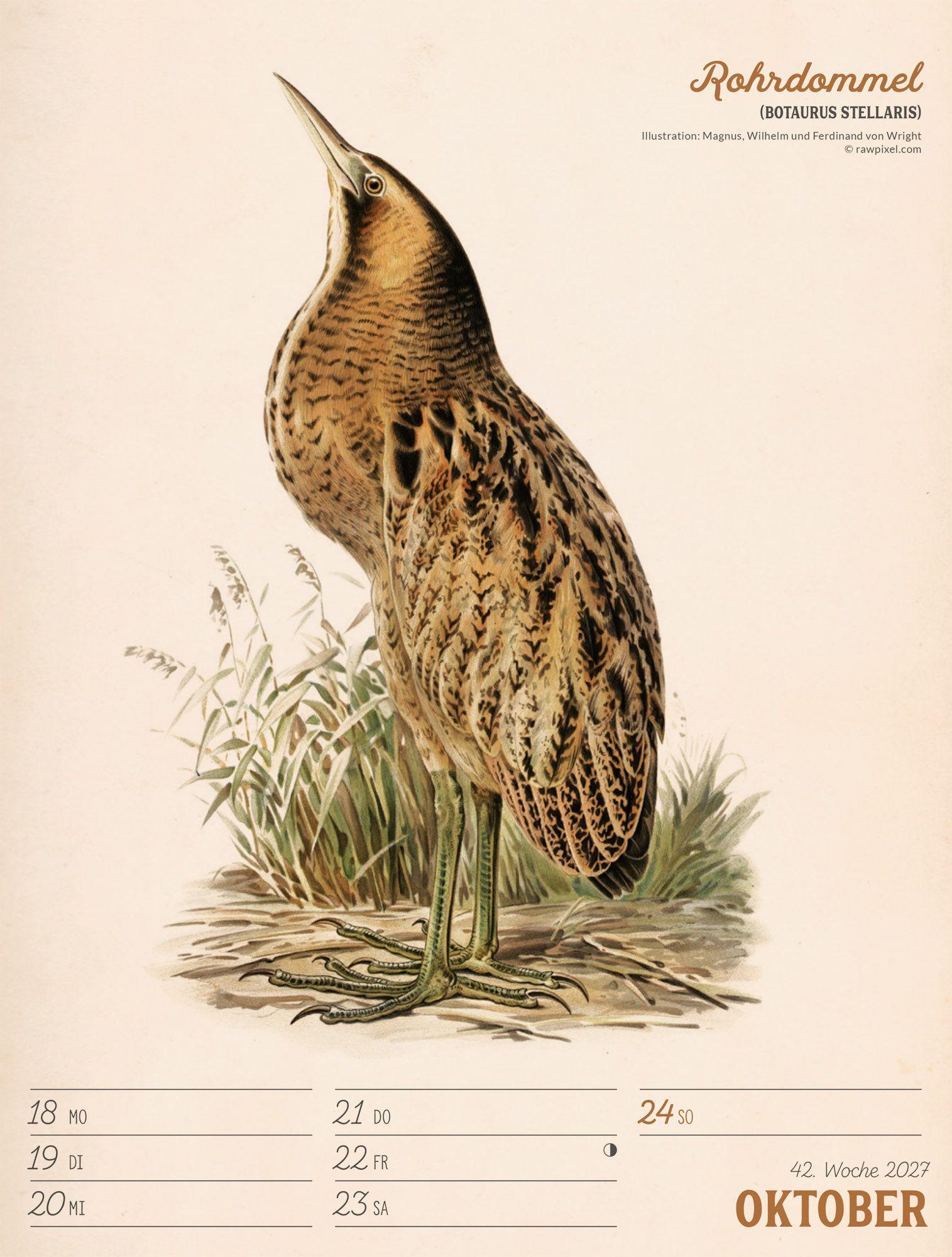 Beispielinhalt (Bild) Wunderbare Vogelwelt Wochenplaner Kalender 2027