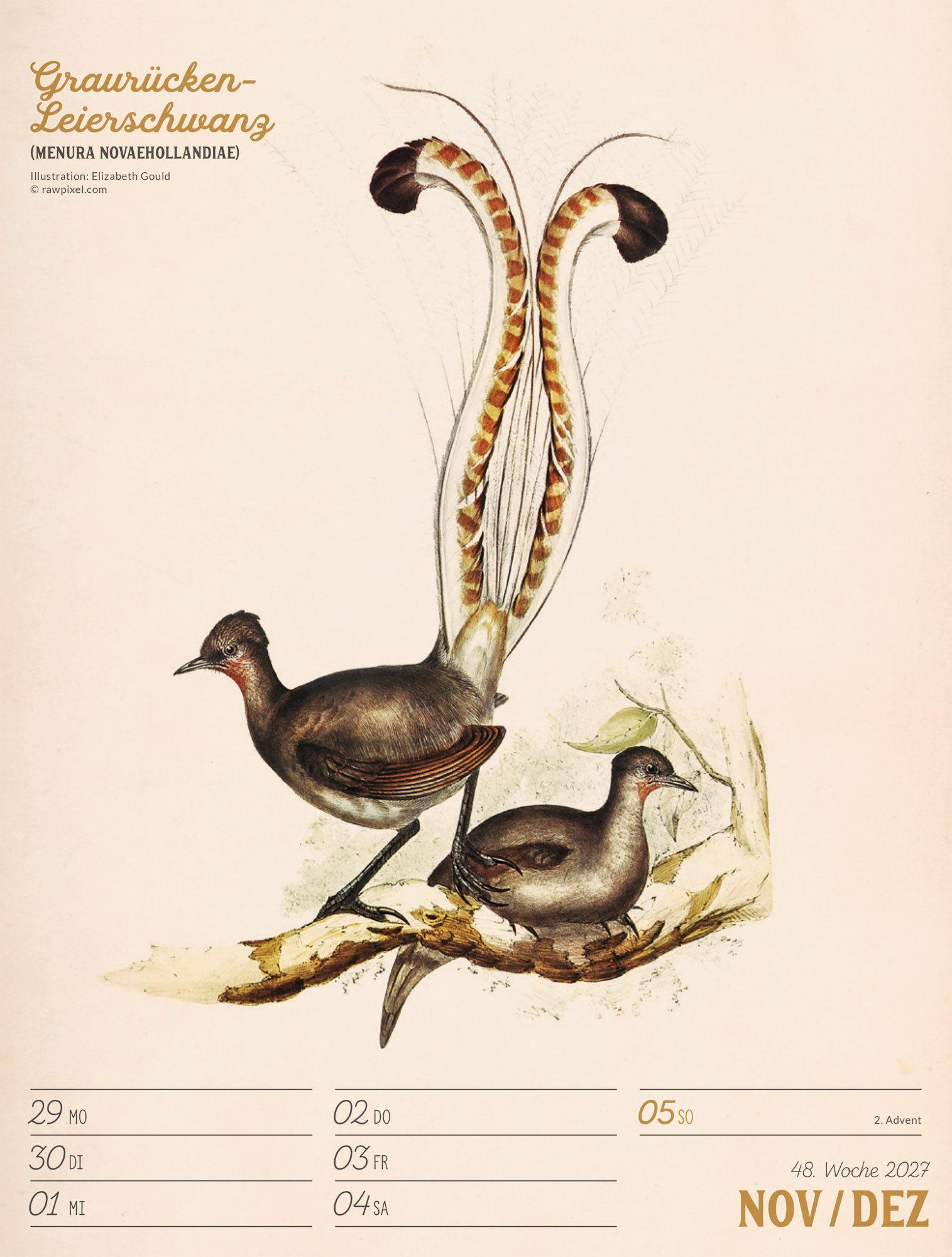 Beispielinhalt (Bild) Wunderbare Vogelwelt Wochenplaner Kalender 2027