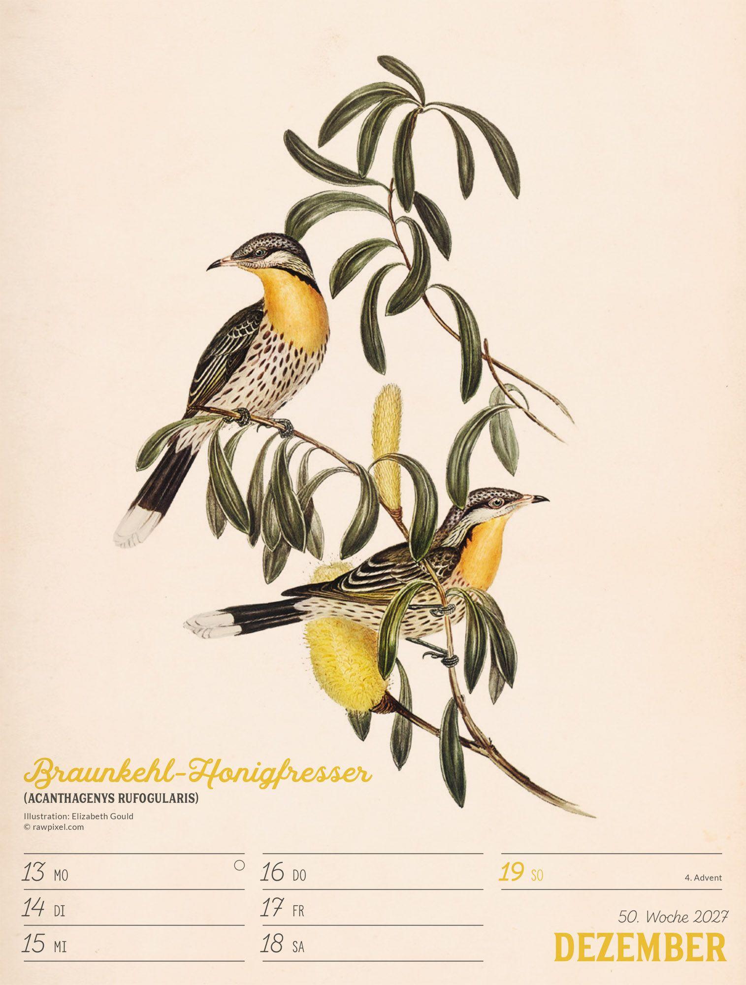 Beispielinhalt (Bild) Wunderbare Vogelwelt Wochenplaner Kalender 2027