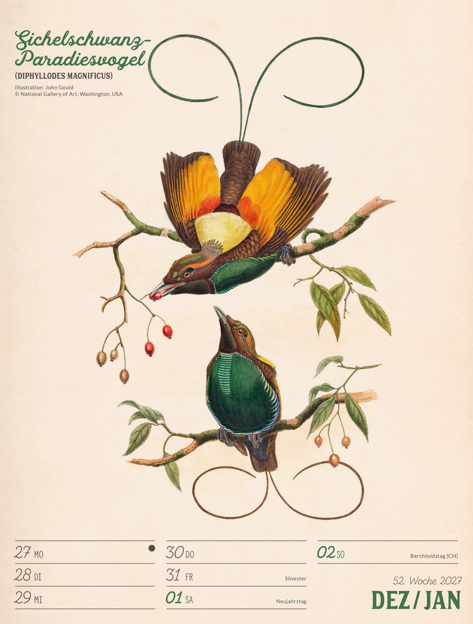 Beispielinhalt (Bild) Wunderbare Vogelwelt Wochenplaner Kalender 2027