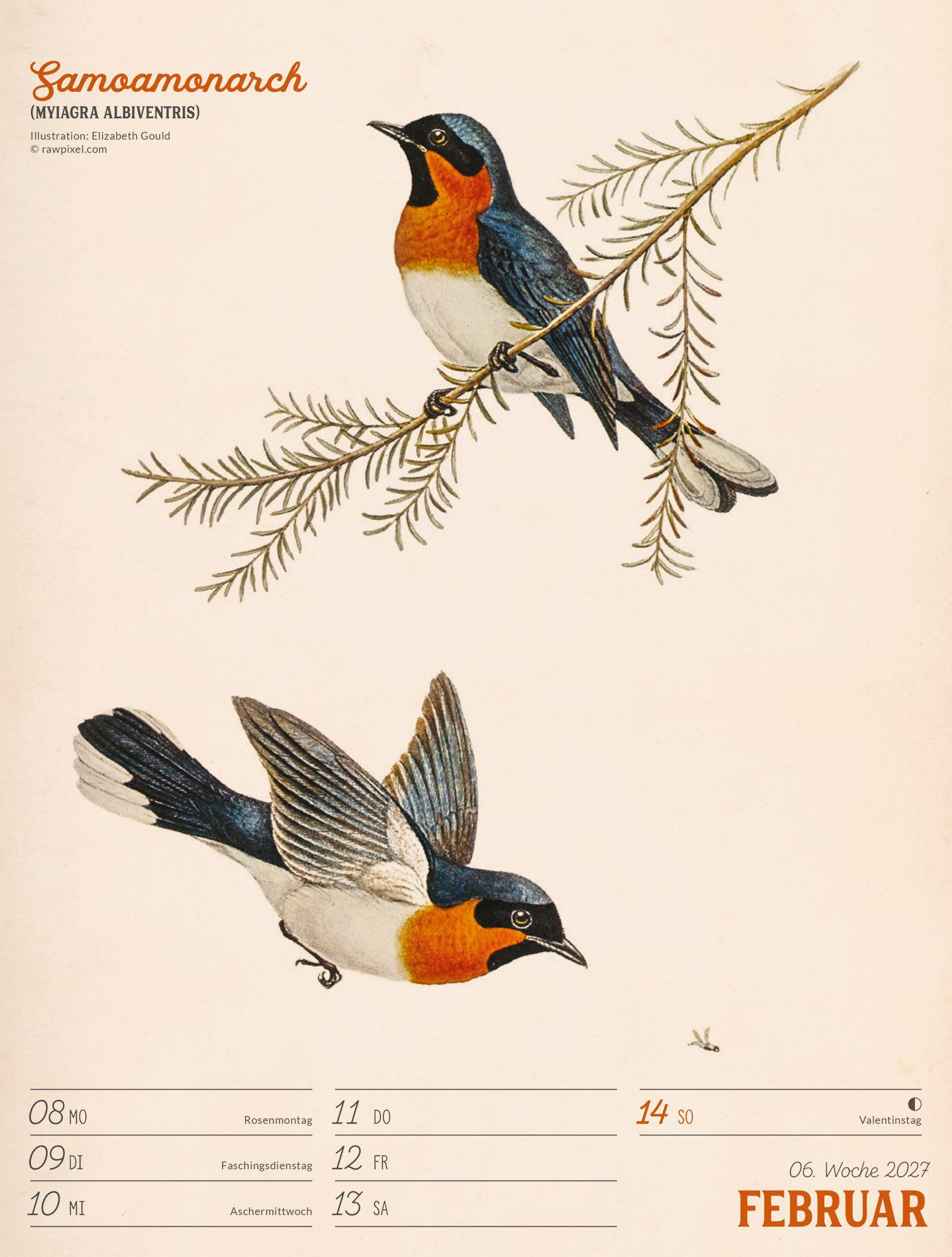 Beispielinhalt (Bild) Wunderbare Vogelwelt Wochenplaner Kalender 2027