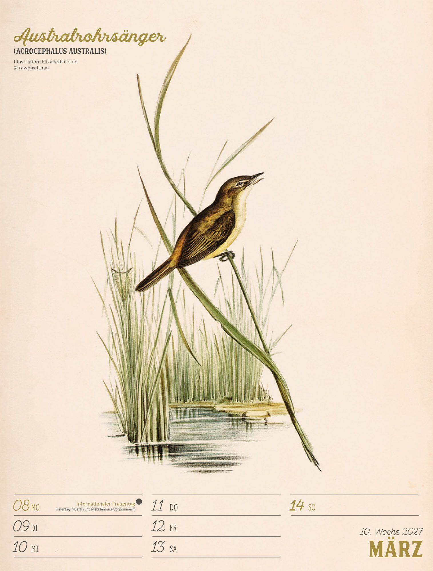 Beispielinhalt (Bild) Wunderbare Vogelwelt Wochenplaner Kalender 2027