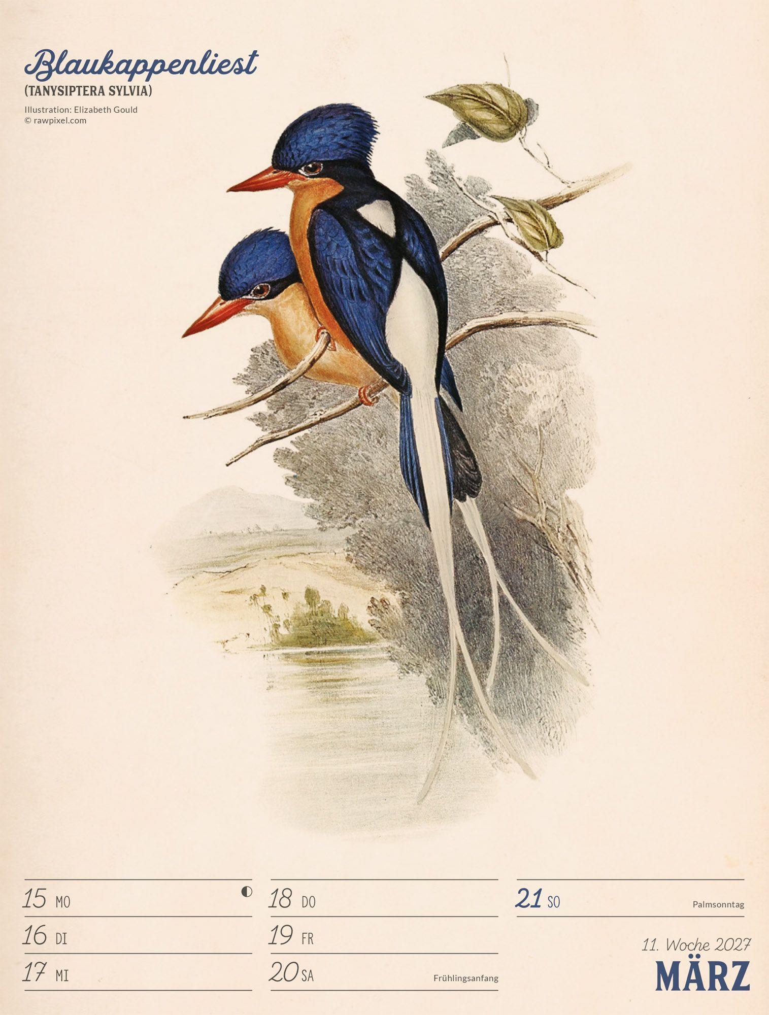 Beispielinhalt (Bild) Wunderbare Vogelwelt Wochenplaner Kalender 2027