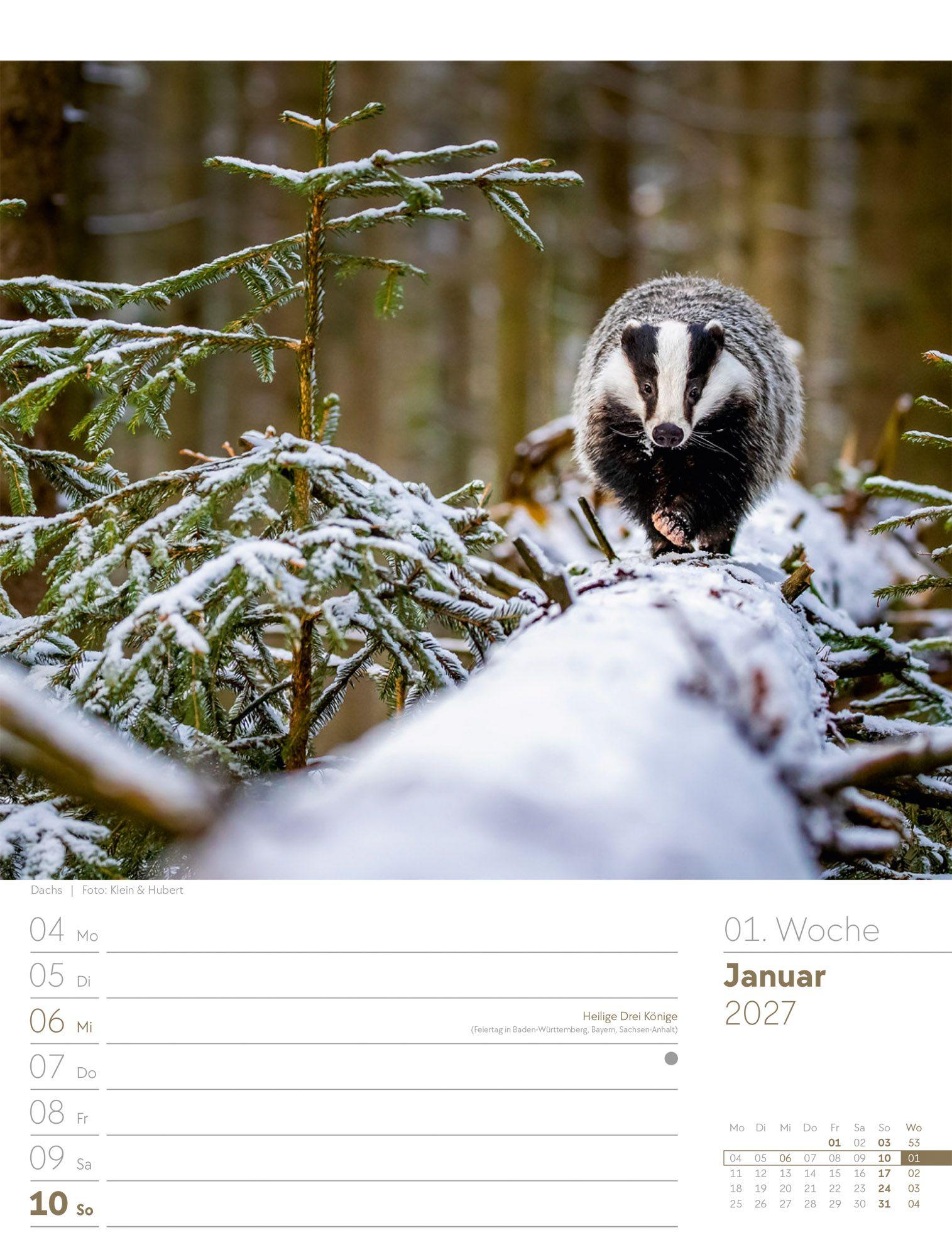 Beispielinhalt (Bild) Unser Wald Wochenplaner Kalender 2027