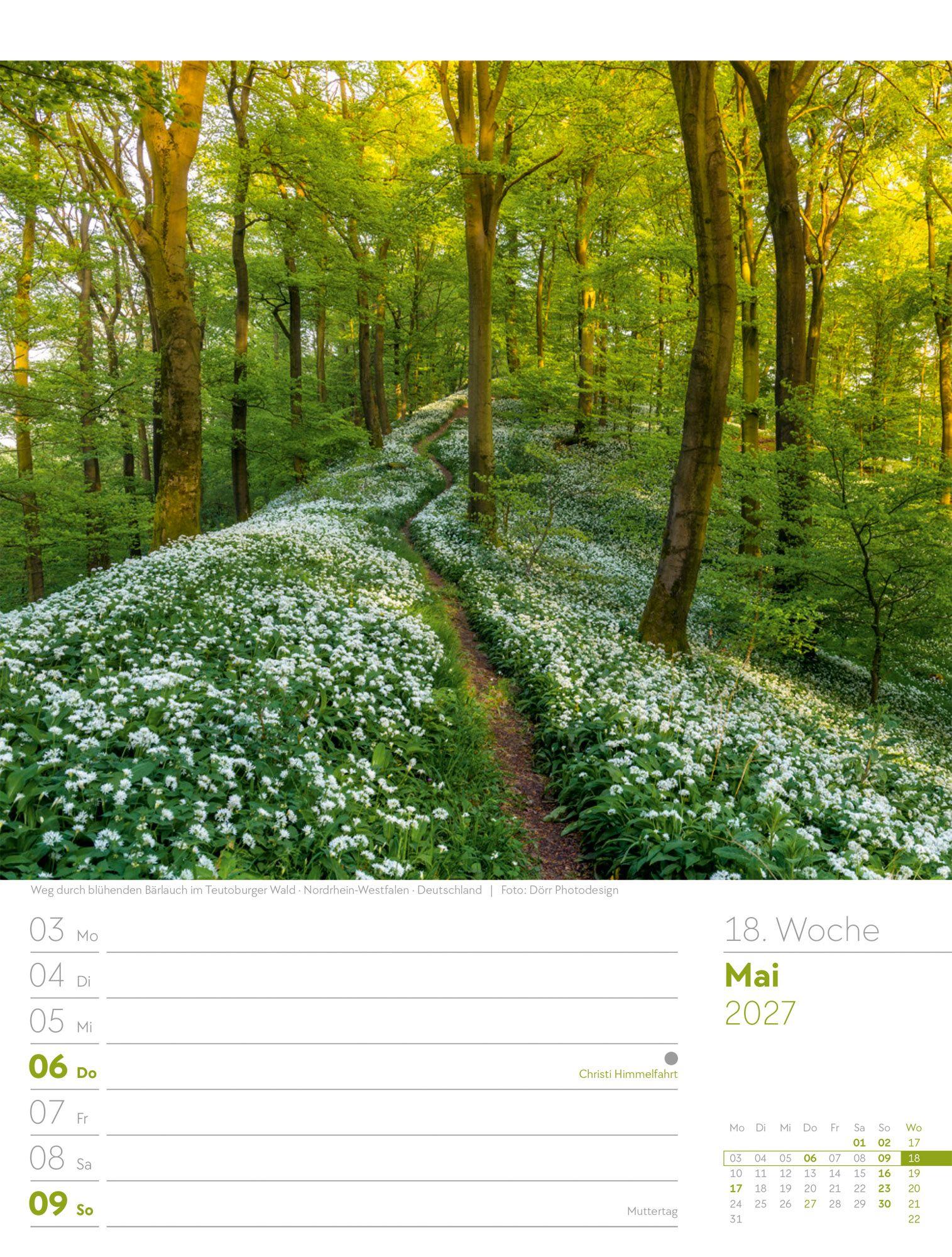 Beispielinhalt (Bild) Unser Wald Wochenplaner Kalender 2027