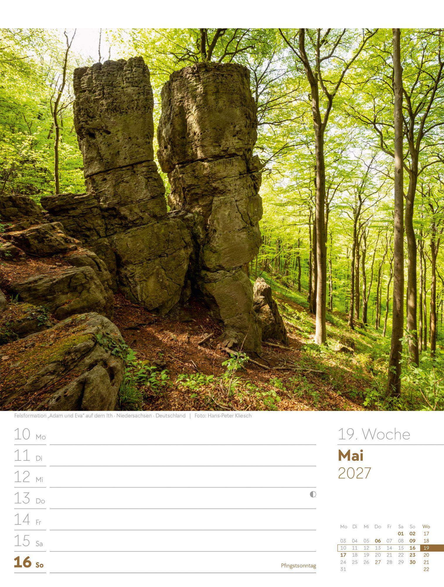 Beispielinhalt (Bild) Unser Wald Wochenplaner Kalender 2027