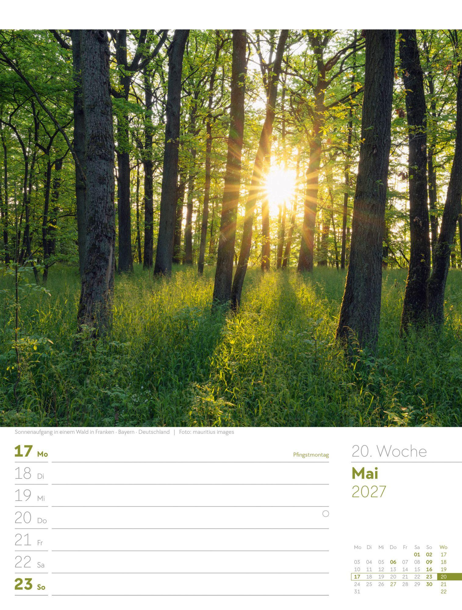 Beispielinhalt (Bild) Unser Wald Wochenplaner Kalender 2027
